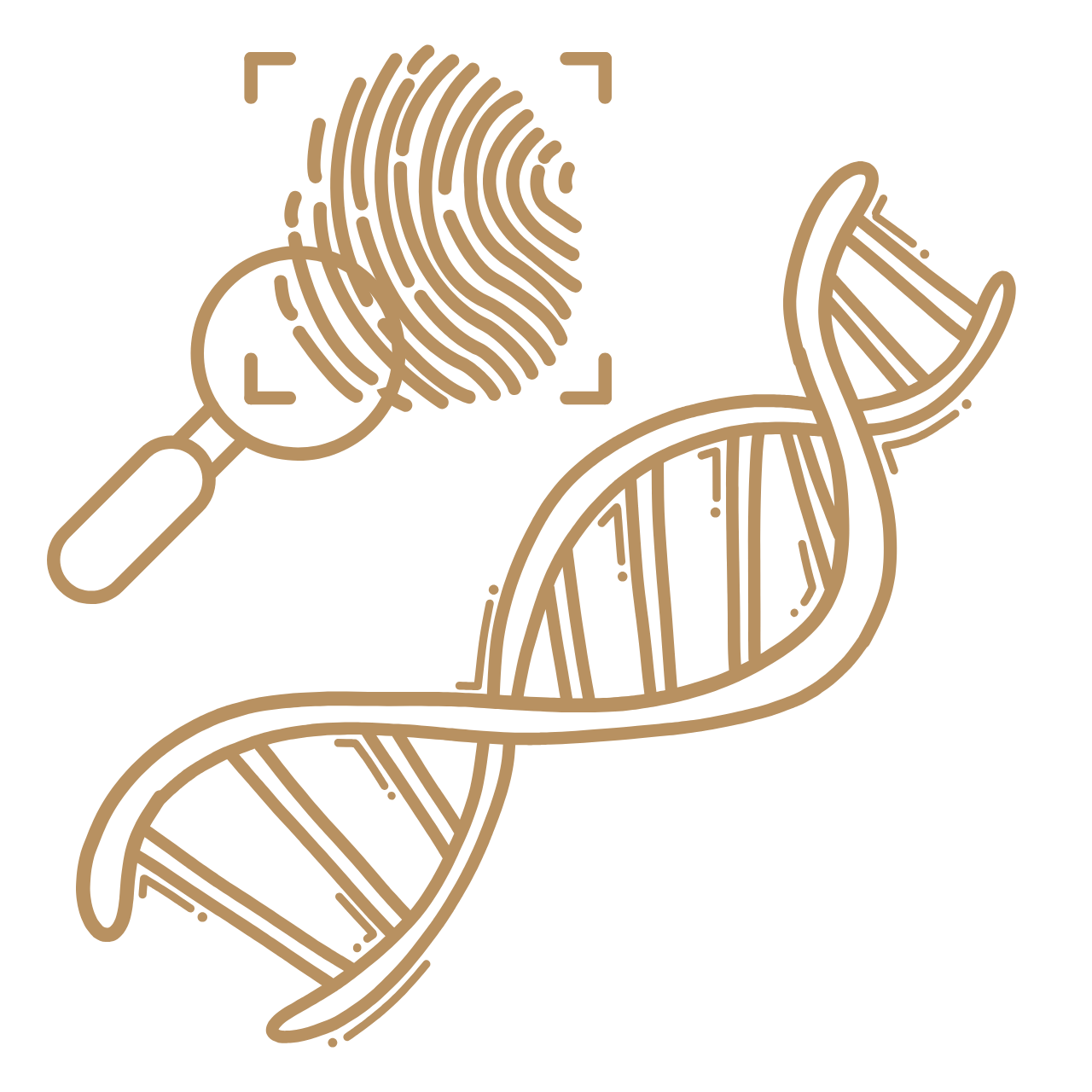 INVESTIGAÇÃO DE PATERNIDADE